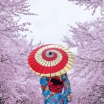 Asistente de IA - Foto Ilustrativa