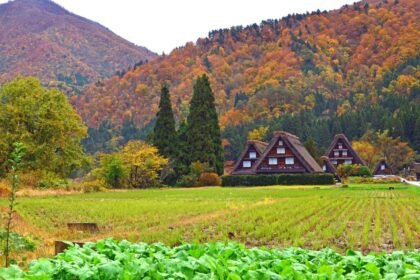 Shirakawago e Gokayama Ainokura